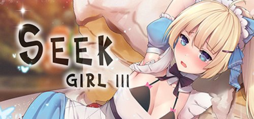 DSGame - Seek Girl III