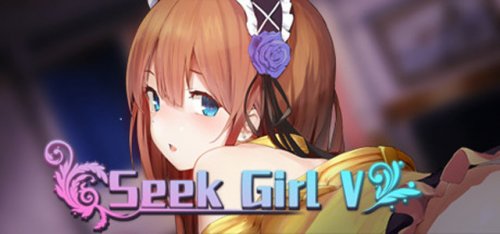 DSGame - Seek Girl V